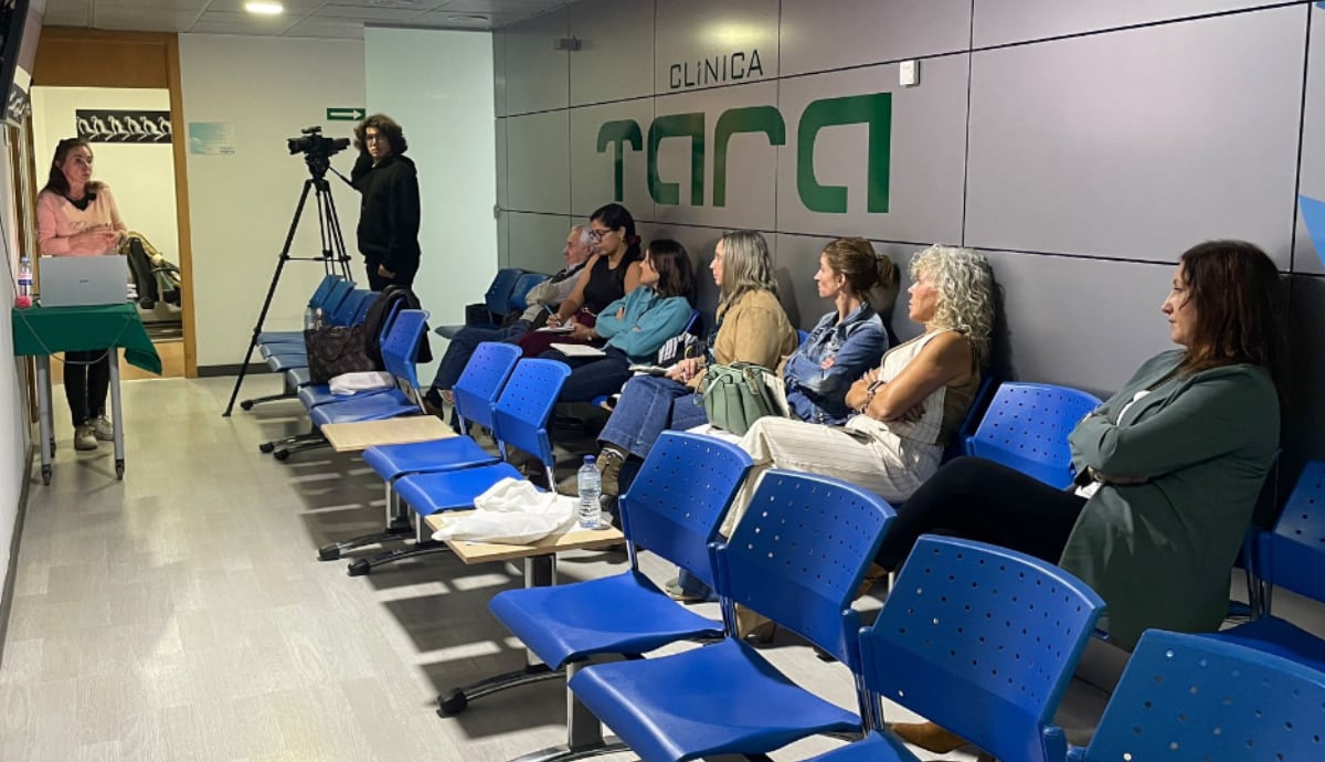 curso