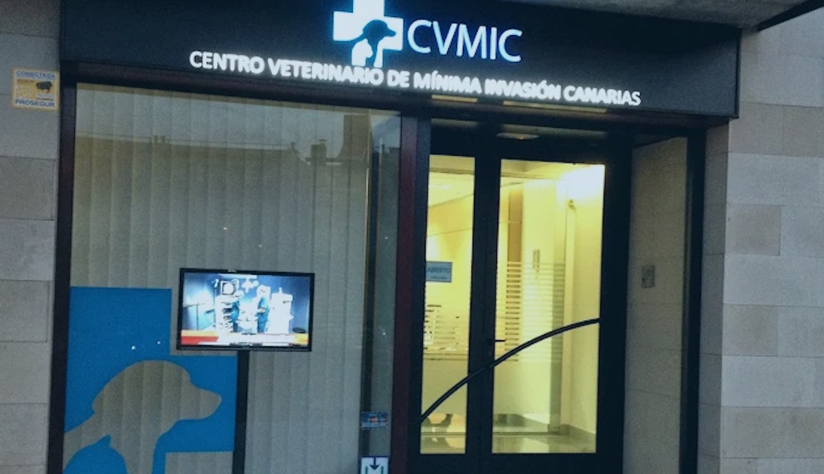 Local del CVMIC