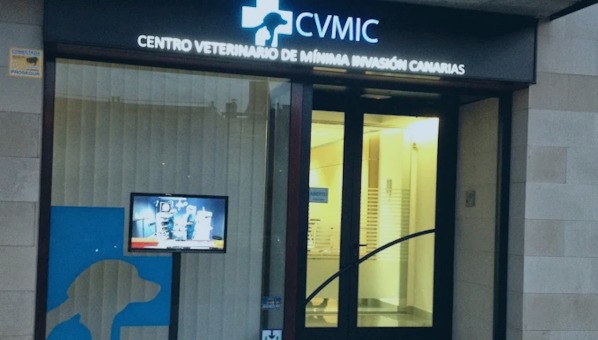 Local del CVMIC