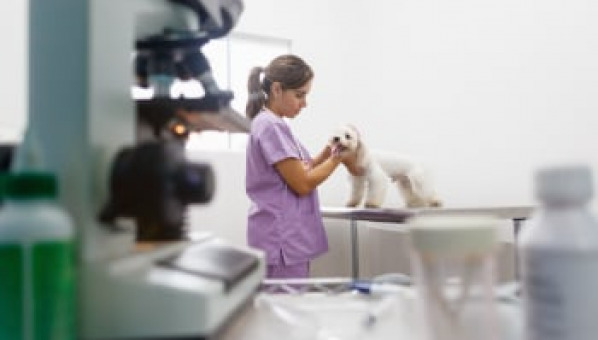 Charla sobre Salud y Animales